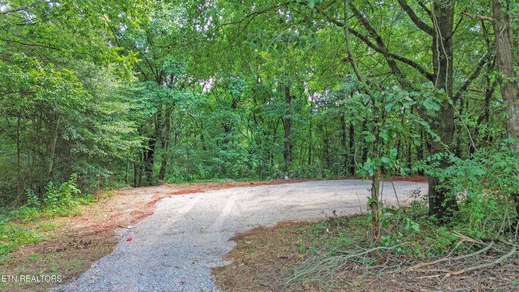Photo of 181 Rivercrest Lane, Benton, TN 37307 (MLS # 1352613)