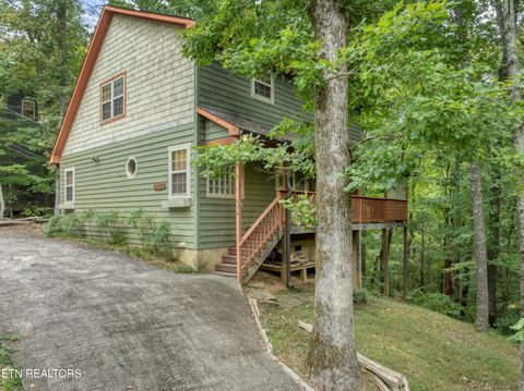 114 Cutter Gap Rd Townsend TN 37882