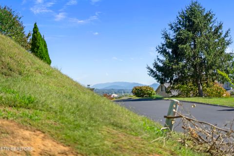Tiny photo for 205 Lexington Place, Sevierville, TN 37862 (MLS # 1317729)