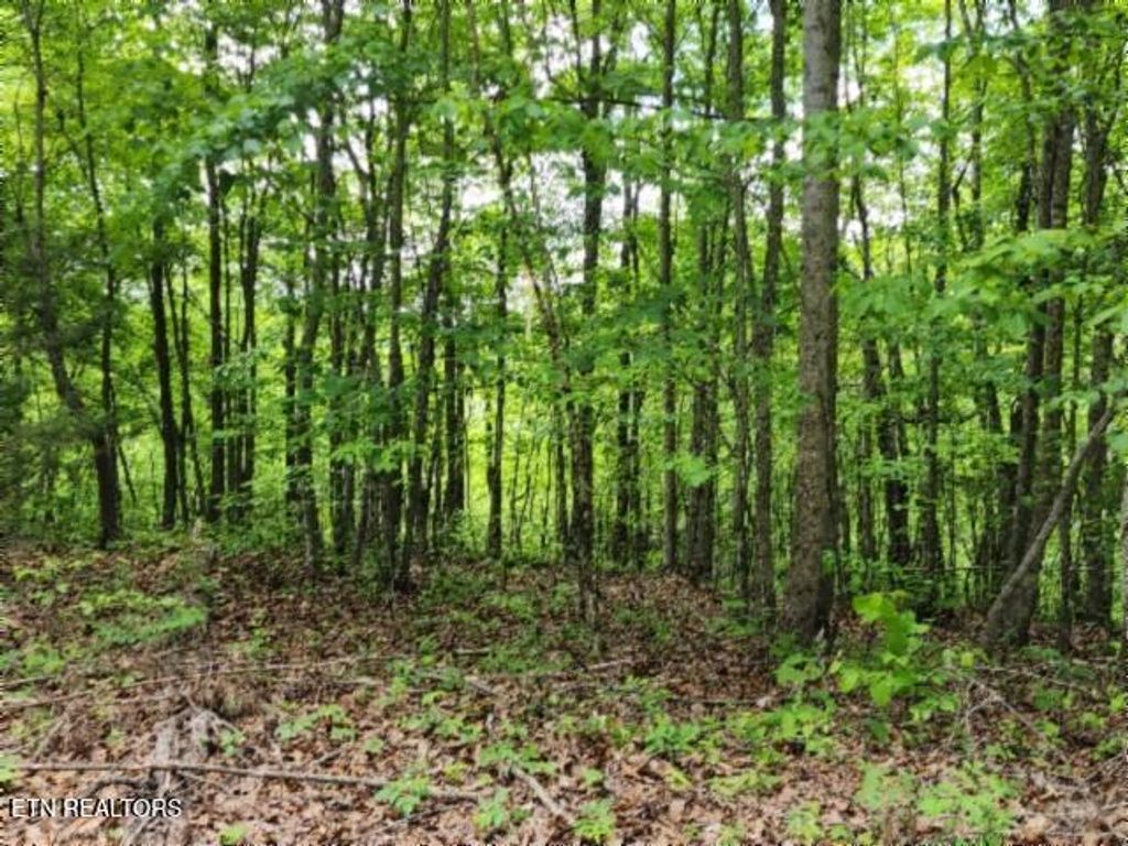 Photo of 1013 Forest Trails Lane, Celina, TN 38551 (MLS # 1338931)