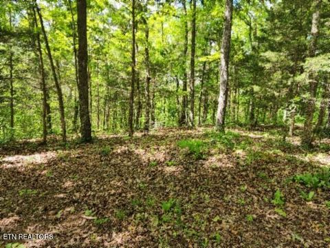 Photo of 1013 Forest Trails Lane, Celina, TN 38551 (MLS # 1338931)