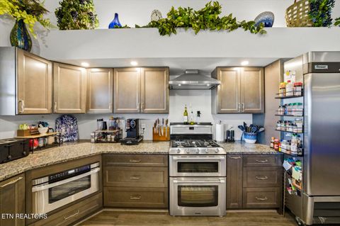 Tiny photo for 1964 Harbor Hills Drive, Dandridge, TN 37725 (MLS # 1325272)