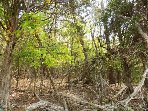 Tiny photo for 3753 Lake Point Drive, Morristown, TN 37814 (MLS # 1337000)