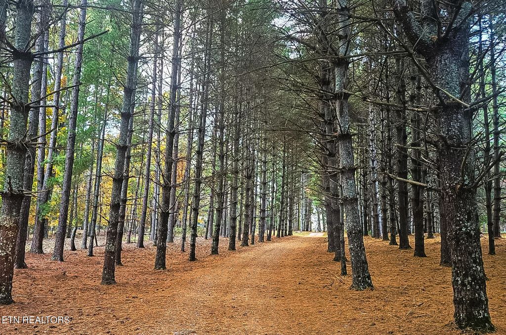 Photo of 6505 Fisher Lane, Greenback, TN 37742 (MLS # 1271164)