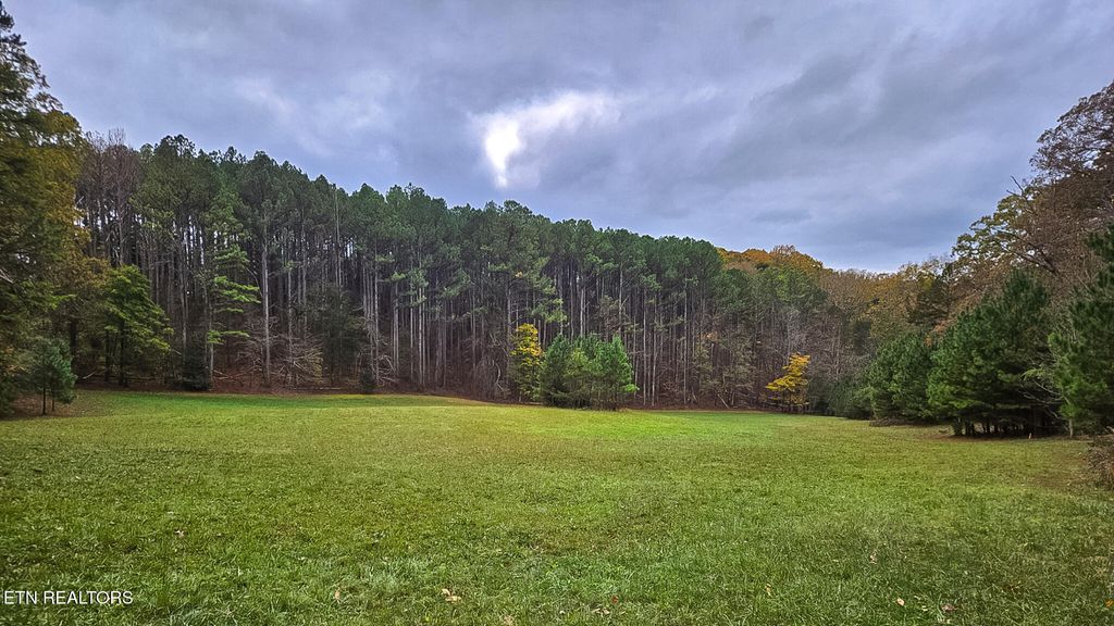 Photo of 6505 Fisher Lane, Greenback, TN 37742 (MLS # 1271164)