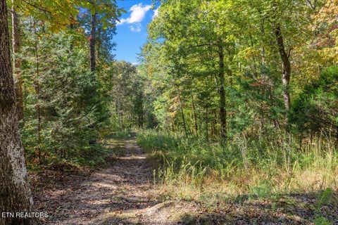 Tiny photo for 360 Woods Hollow Rd, Decatur, TN 37322 (MLS # 1360012)