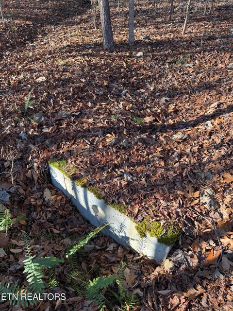 Tiny photo for 844 Landmark Drive, New Tazewell, TN 37825 (MLS # 1323147)