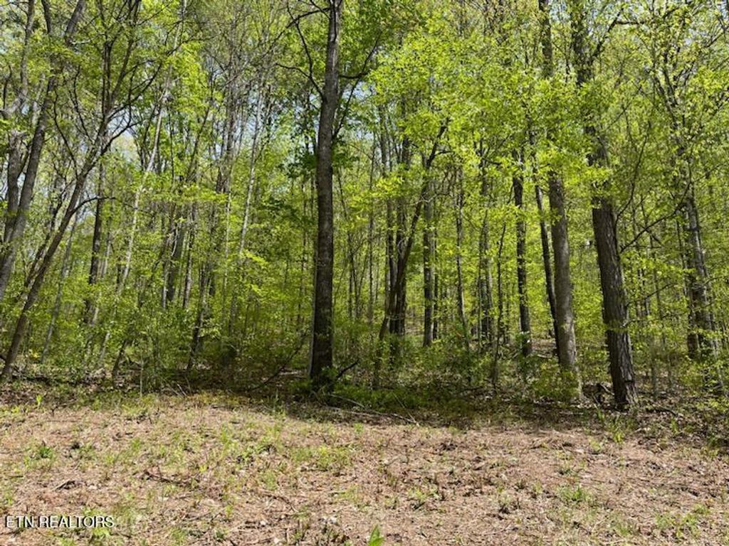 Photo of Lot 1 Cabin Rd, Speedwell, TN 37870 (MLS # 1298295)