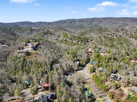 Tiny photo for 2673 Cedar Falls Way, Sevierville, TN 37862 (MLS # 1331263)