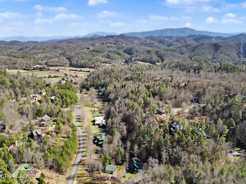 Tiny photo for 2673 Cedar Falls Way, Sevierville, TN 37862 (MLS # 1331263)