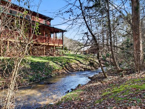 Tiny photo for 2673 Cedar Falls Way, Sevierville, TN 37862 (MLS # 1331263)