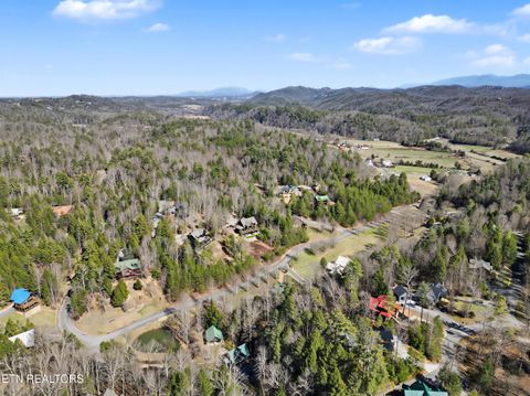Tiny photo for 2673 Cedar Falls Way, Sevierville, TN 37862 (MLS # 1331263)