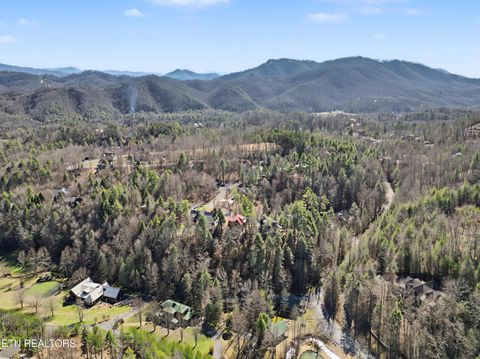 Tiny photo for 2673 Cedar Falls Way, Sevierville, TN 37862 (MLS # 1331263)
