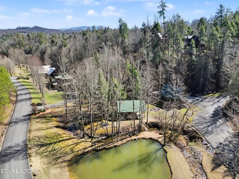 Tiny photo for 2673 Cedar Falls Way, Sevierville, TN 37862 (MLS # 1331263)