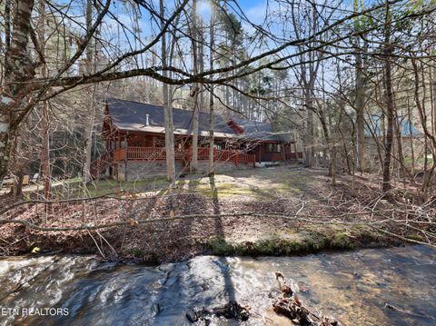 Tiny photo for 2673 Cedar Falls Way, Sevierville, TN 37862 (MLS # 1331263)