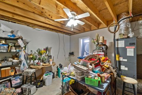 Tiny photo for 199 Pear Tree Way, Del Rio, TN 37727 (MLS # 1317751)