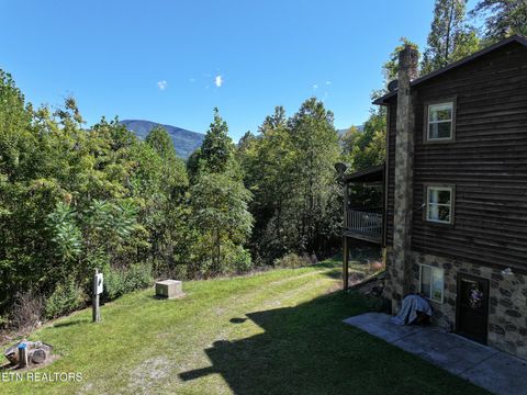 Tiny photo for 199 Pear Tree Way, Del Rio, TN 37727 (MLS # 1317751)