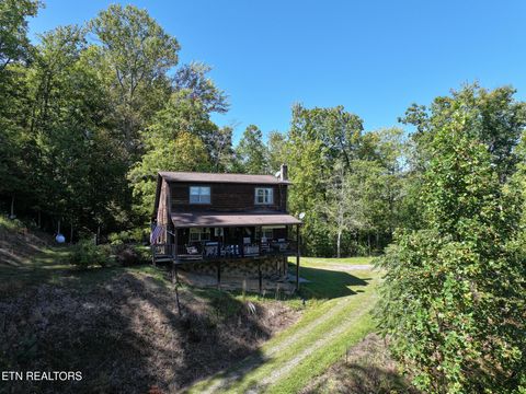 Tiny photo for 199 Pear Tree Way, Del Rio, TN 37727 (MLS # 1317751)