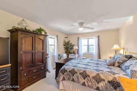 Tiny photo for 199 Pear Tree Way, Del Rio, TN 37727 (MLS # 1317751)