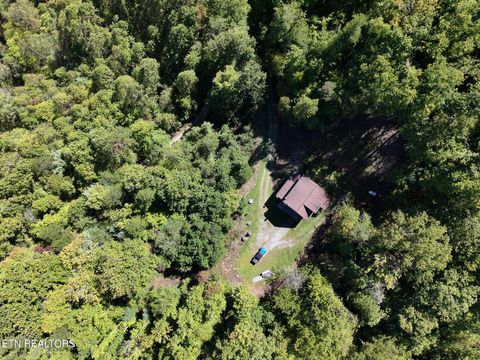 Tiny photo for 199 Pear Tree Way, Del Rio, TN 37727 (MLS # 1317751)