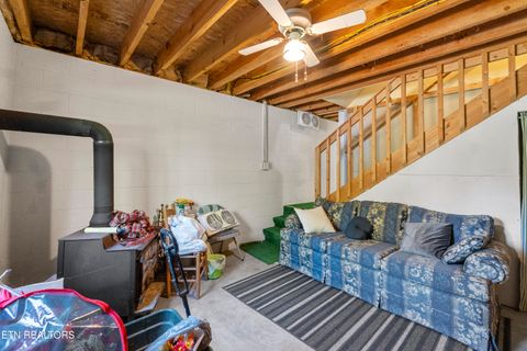 Tiny photo for 199 Pear Tree Way, Del Rio, TN 37727 (MLS # 1317751)