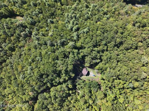 Tiny photo for 199 Pear Tree Way, Del Rio, TN 37727 (MLS # 1317751)
