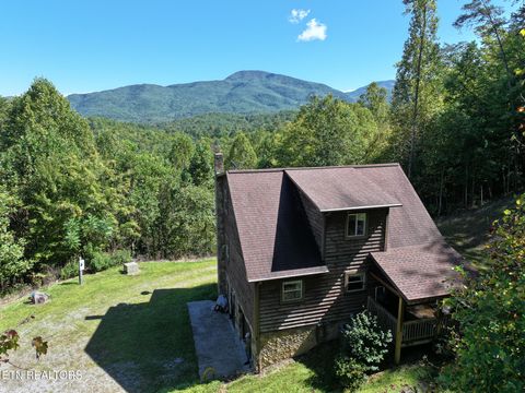 Tiny photo for 199 Pear Tree Way, Del Rio, TN 37727 (MLS # 1317751)