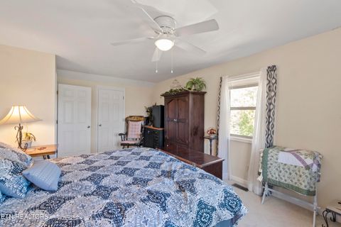 Tiny photo for 199 Pear Tree Way, Del Rio, TN 37727 (MLS # 1317751)