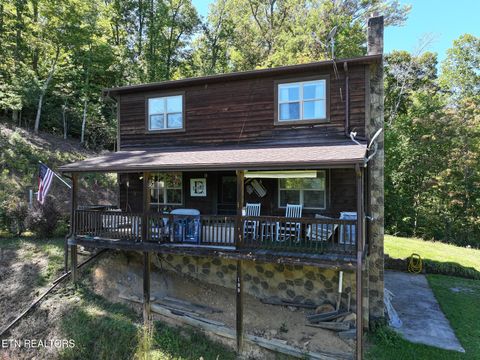 Tiny photo for 199 Pear Tree Way, Del Rio, TN 37727 (MLS # 1317751)