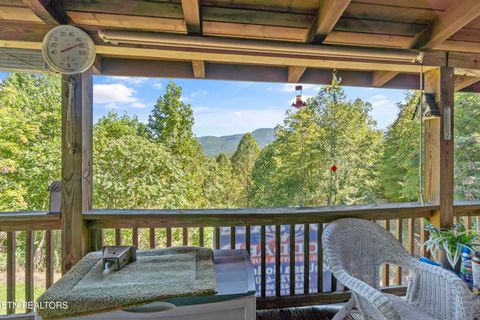 Tiny photo for 199 Pear Tree Way, Del Rio, TN 37727 (MLS # 1317751)