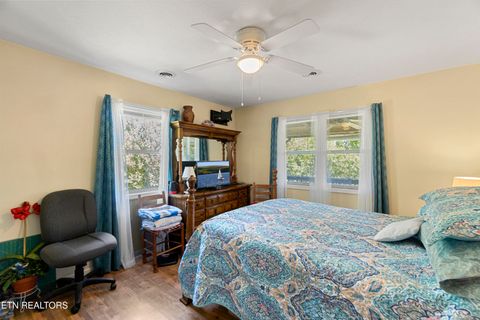 Tiny photo for 199 Pear Tree Way, Del Rio, TN 37727 (MLS # 1317751)
