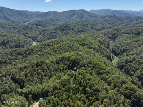 Tiny photo for 199 Pear Tree Way, Del Rio, TN 37727 (MLS # 1317751)