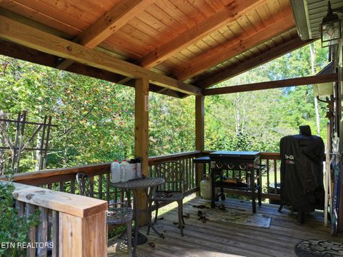 Tiny photo for 199 Pear Tree Way, Del Rio, TN 37727 (MLS # 1317751)