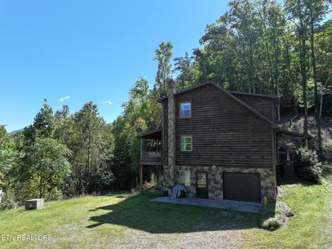 Tiny photo for 199 Pear Tree Way, Del Rio, TN 37727 (MLS # 1317751)