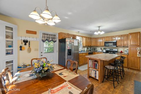 Tiny photo for 199 Pear Tree Way, Del Rio, TN 37727 (MLS # 1317751)