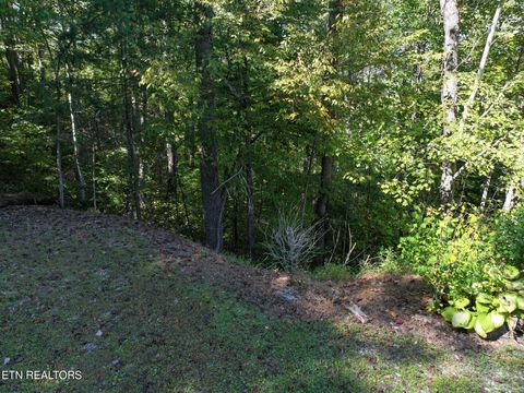 Tiny photo for 199 Pear Tree Way, Del Rio, TN 37727 (MLS # 1317751)