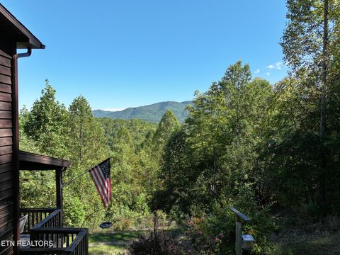 Photo of 199 Pear Tree Way, Del Rio, TN 37727 (MLS # 1317751)