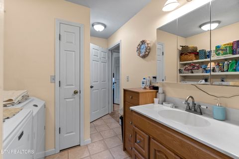 Tiny photo for 199 Pear Tree Way, Del Rio, TN 37727 (MLS # 1317751)