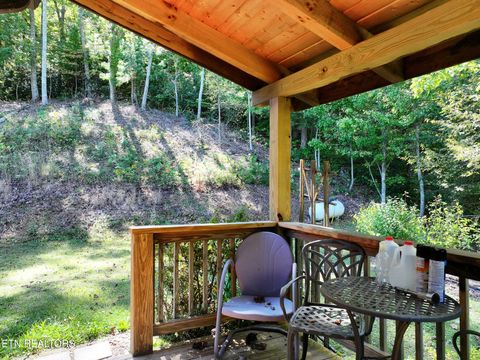 Tiny photo for 199 Pear Tree Way, Del Rio, TN 37727 (MLS # 1317751)