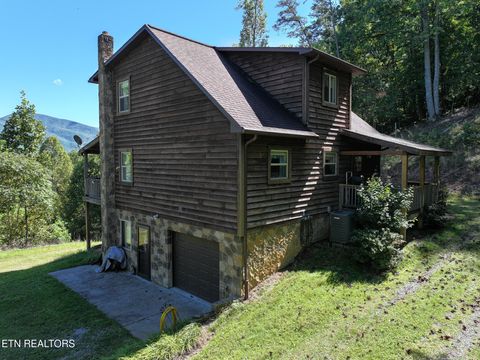 Tiny photo for 199 Pear Tree Way, Del Rio, TN 37727 (MLS # 1317751)