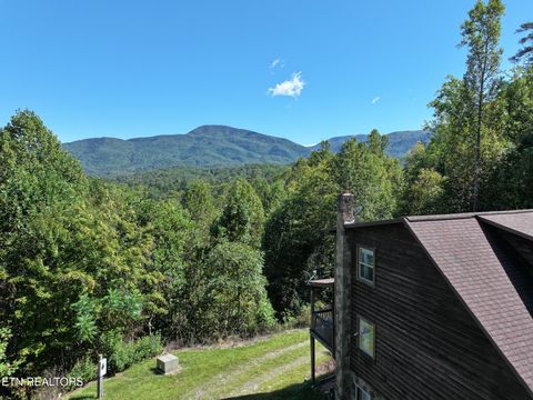 Tiny photo for 199 Pear Tree Way, Del Rio, TN 37727 (MLS # 1317751)