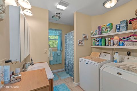 Tiny photo for 199 Pear Tree Way, Del Rio, TN 37727 (MLS # 1317751)