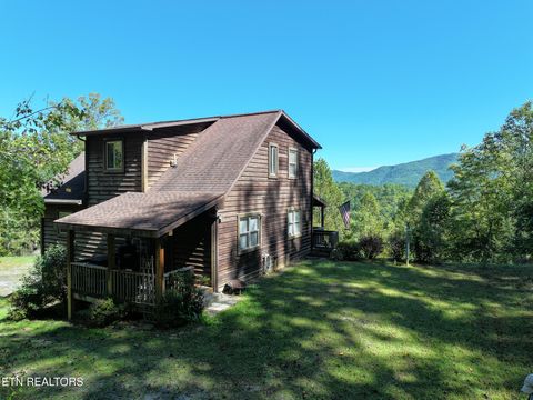 Tiny photo for 199 Pear Tree Way, Del Rio, TN 37727 (MLS # 1317751)