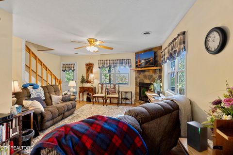 Tiny photo for 199 Pear Tree Way, Del Rio, TN 37727 (MLS # 1317751)