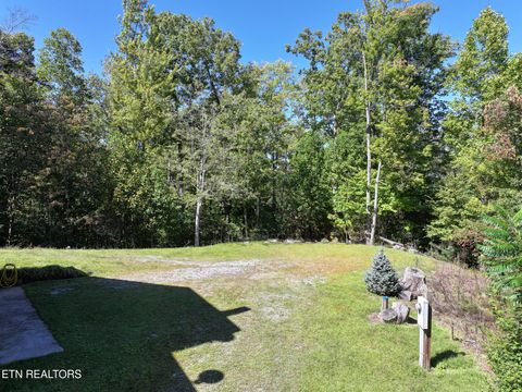 Tiny photo for 199 Pear Tree Way, Del Rio, TN 37727 (MLS # 1317751)