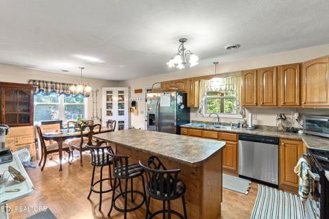 Tiny photo for 199 Pear Tree Way, Del Rio, TN 37727 (MLS # 1317751)