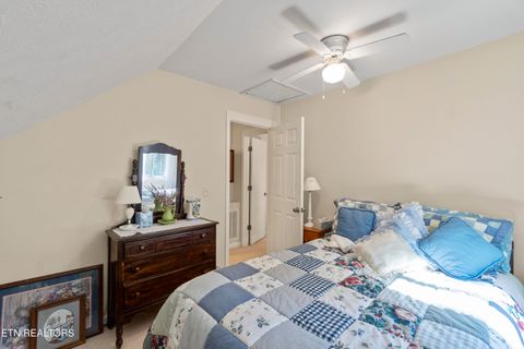 Tiny photo for 199 Pear Tree Way, Del Rio, TN 37727 (MLS # 1317751)