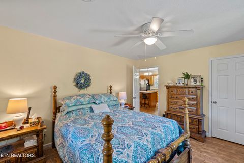 Tiny photo for 199 Pear Tree Way, Del Rio, TN 37727 (MLS # 1317751)