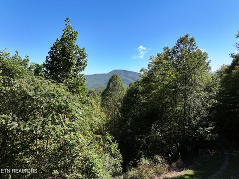 Tiny photo for 199 Pear Tree Way, Del Rio, TN 37727 (MLS # 1317751)