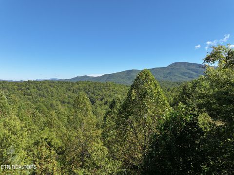 Tiny photo for 199 Pear Tree Way, Del Rio, TN 37727 (MLS # 1317751)